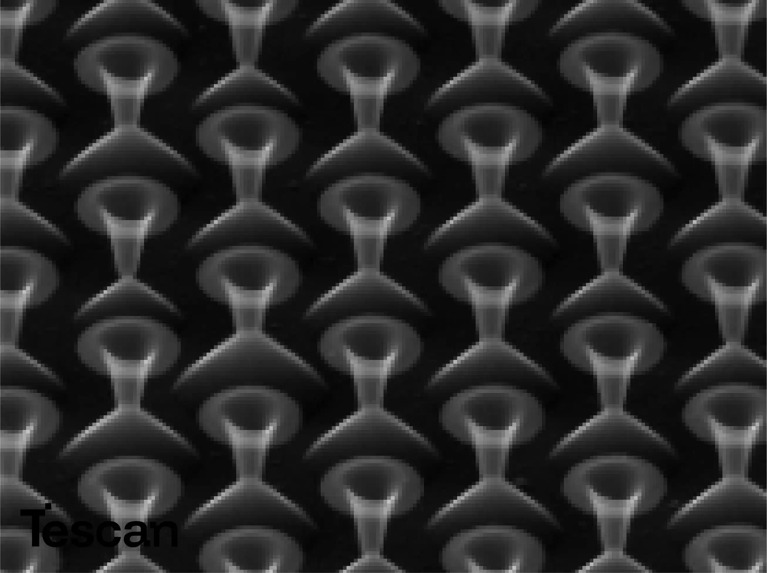 Tescan FIB-SEM for Life Science